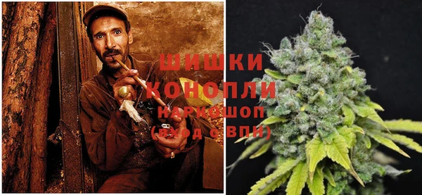 амф Аркадак