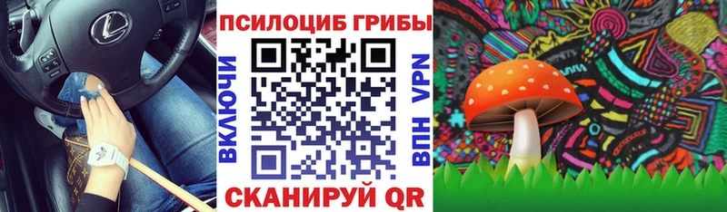 Псилоцибиновые грибы Psilocybine cubensis  продажа наркотиков  Олонец 